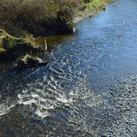 Pilchuck Creek riffles