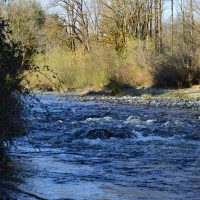 Pilchuck Creek