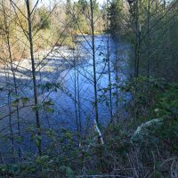 Pilchuck Creek rapids