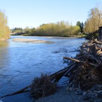 Confluence of the north and south forks of the Stilly