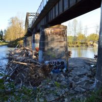 The Centennial Trail Brige at Arlington