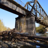 The Centennial Trail Brige at Arlington