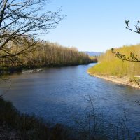 North Fork of the Stillaguamish Uptream From the Bridge