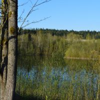 Photo of the Gravel Quarry Pond
