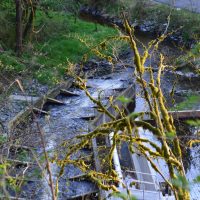 Stillaguamish Tribe Fish Ladder