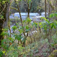 Stillaguamish Tribe Fish Hatchery
